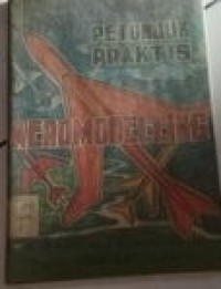 Image of Petunjuk Praktis Aeromodelling